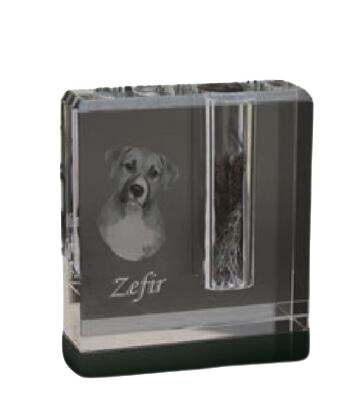 Kryształ pamięci PS-V1