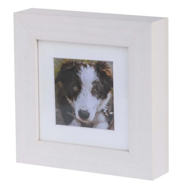 Urna ze zdjęciem Cesare