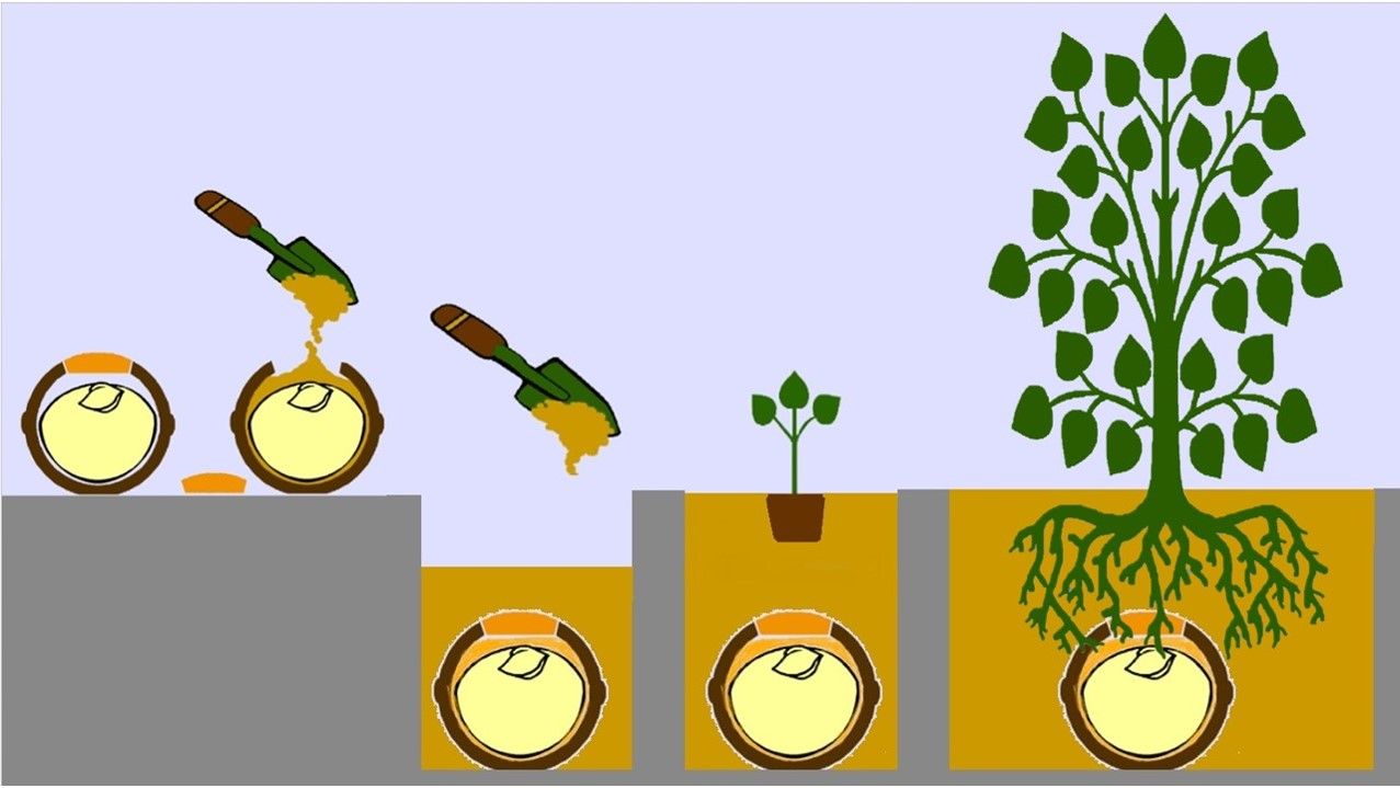 Urna EKO Geos - obrazek 7