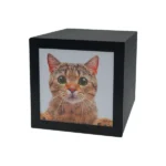 PET CUBE Czarna/Biała