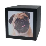 PET CUBE Czarna/Biała