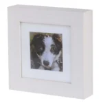 Urna ze zdjęciem Cesare