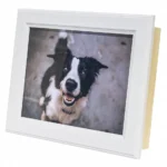 Urna ze zdjęciem Luigi